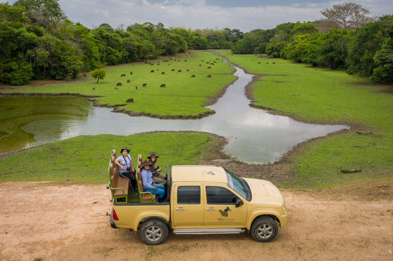 Wildlife Safari Tours Destination Llanos Colombia Casanare nature photography destination south america