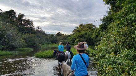 Cowboy and Wildlife Horseback Tour Los Llanos Casanare Colombia South America