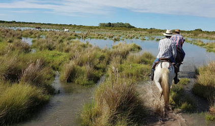 Safari and Prairie Horseback Riding Tour Los Llanos Casanare Colombia