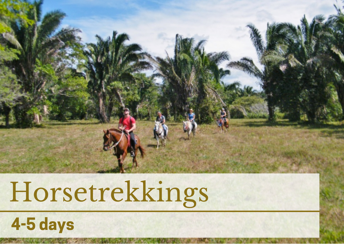 colombia horse trekking tour south america