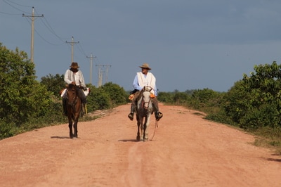 Wildlife Tours Cultural Destination Llanos Colombia Casanare 