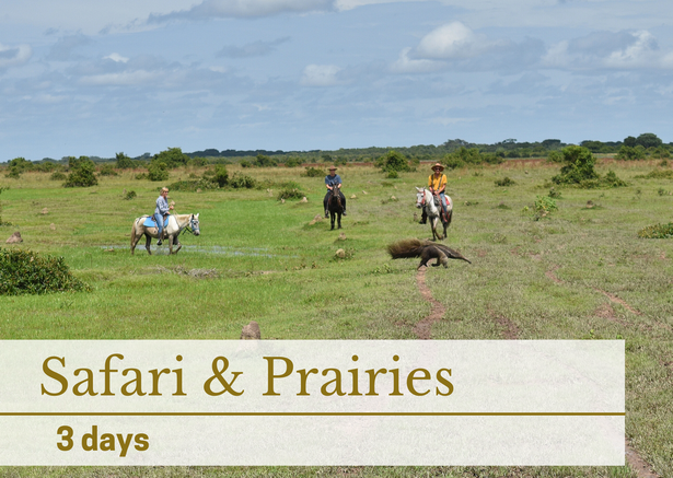 safari and prairies horseback riding tour colombia llanos south america