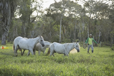 Horseback Tours Destination Llanos Colombia Casanare 